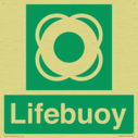 lifebuoy-with-symbol~